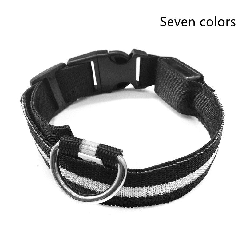 Nylon LED Pet Dog Luminous Collar Night Safety Flashing Glow in Dark Dog Cat Leash Adjustable Pet Supplies - My Store