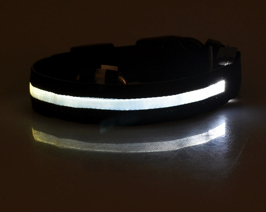 Nylon LED Pet Dog Luminous Collar Night Safety Flashing Glow in Dark Dog Cat Leash Adjustable Pet Supplies - My Store