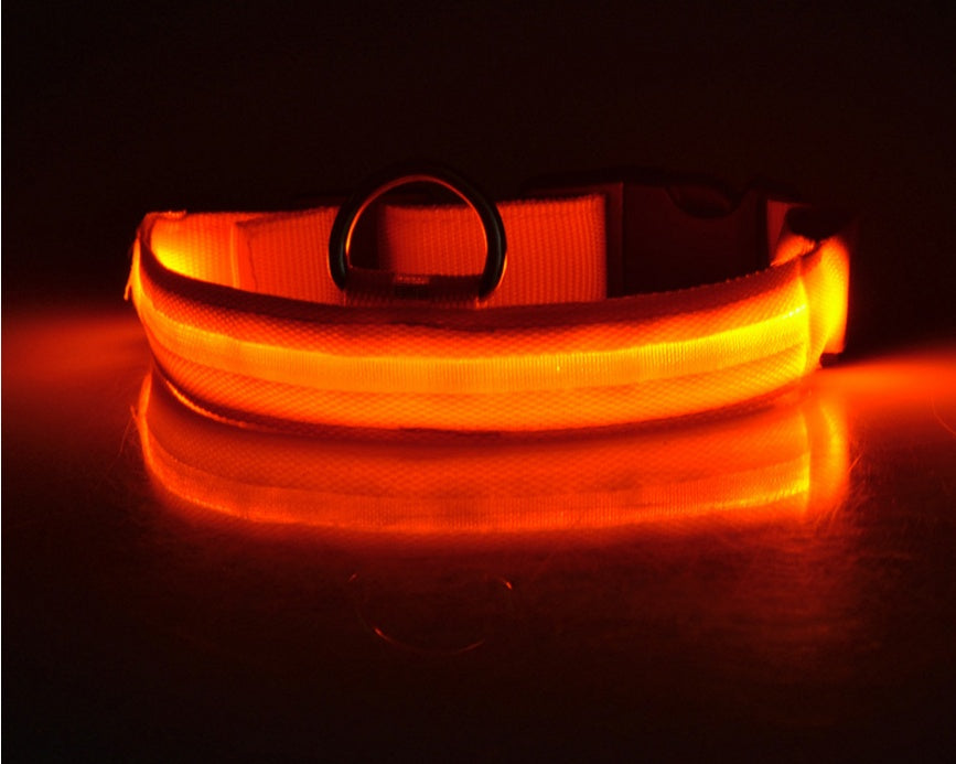 Nylon LED Pet Dog Luminous Collar Night Safety Flashing Glow in Dark Dog Cat Leash Adjustable Pet Supplies - My Store