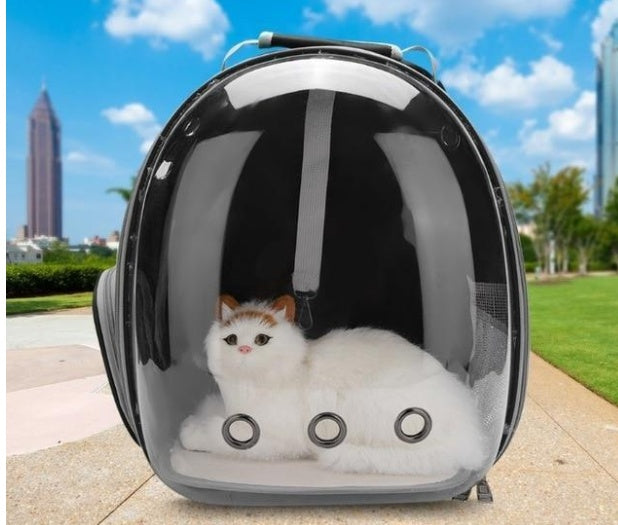 Cat Bag Full Transparent Pet Space Bag - My Store