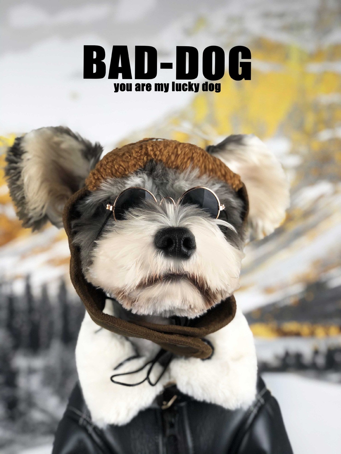 Dog Clothes Autumn And Winter Thickening Fashion Brand Fur Coat - My Store