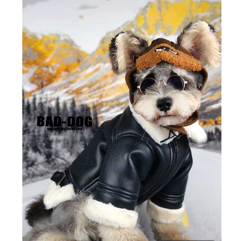 Dog Clothes Autumn And Winter Thickening Fashion Brand Fur Coat - My Store