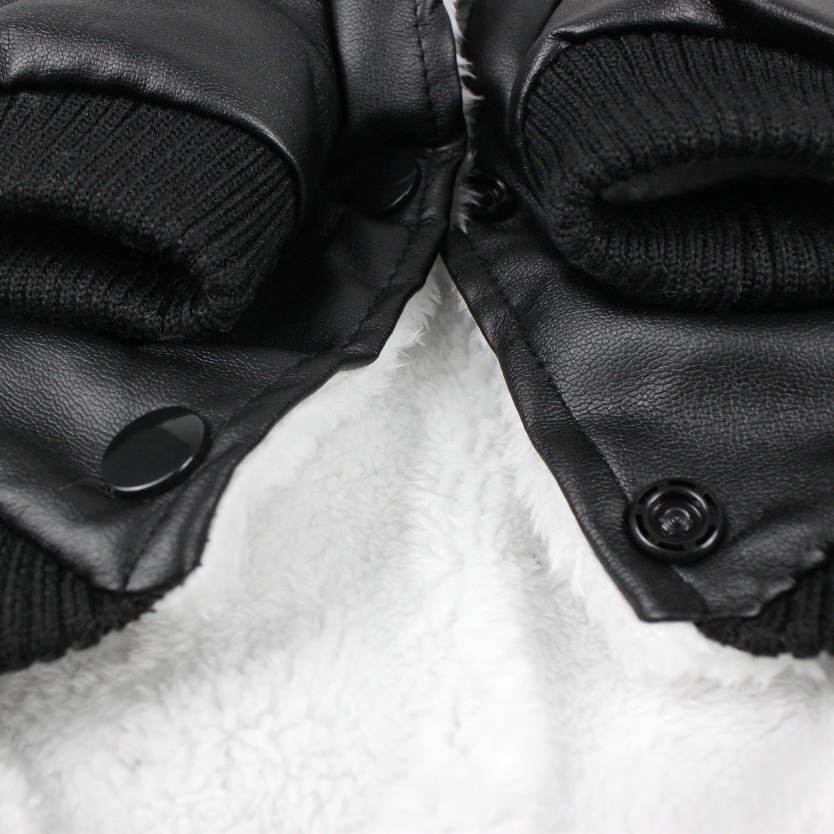 Autumn And Winter Clothes Dog Fur Collar Leather Coat - My Store