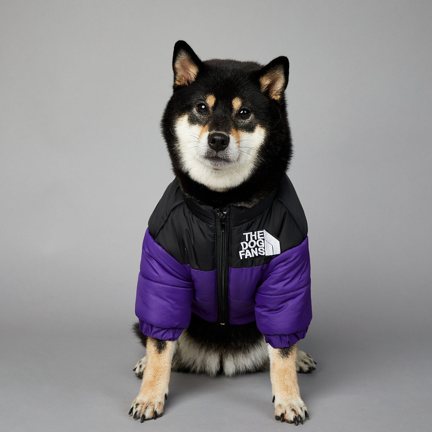 Windproof And Rainproof Dog Winter Warm Pet Cotton-padded Clothes - My Store