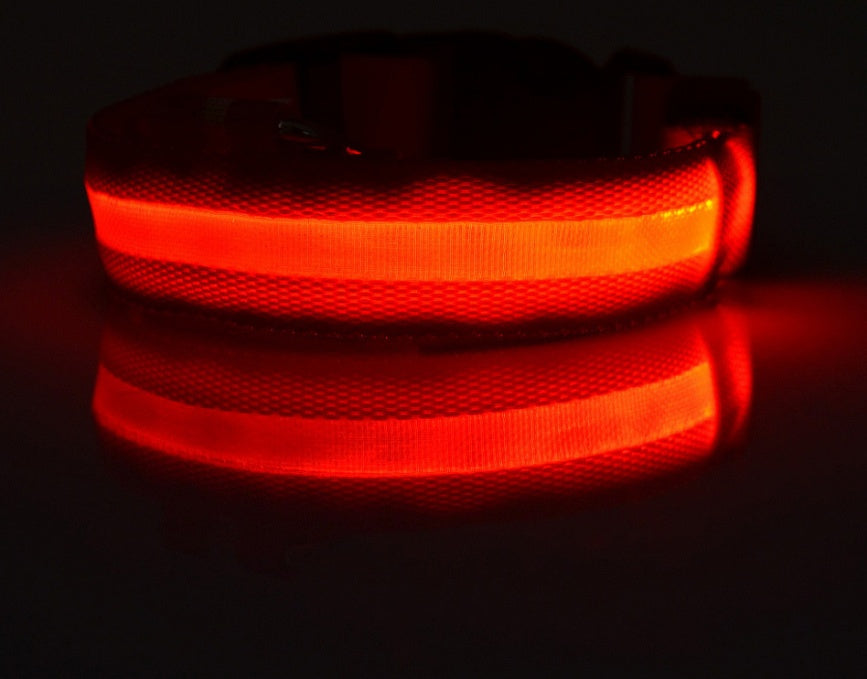 Nylon LED Pet Dog Luminous Collar Night Safety Flashing Glow in Dark Dog Cat Leash Adjustable Pet Supplies - My Store