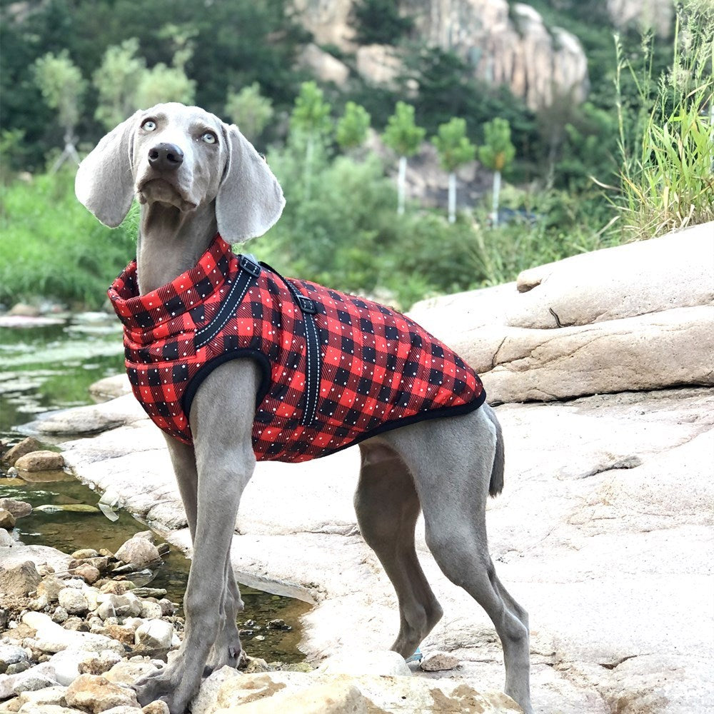 Christmas Dog Waterproof Reflective Belt Chest And Back Autumn And Winter Warm Pet Clothes - My Store