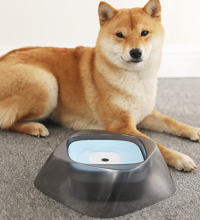 Pet Dog Bowl Floating Not Wetting Mouth Cat Bowl No Spill Drinking Water Feeder - My Store