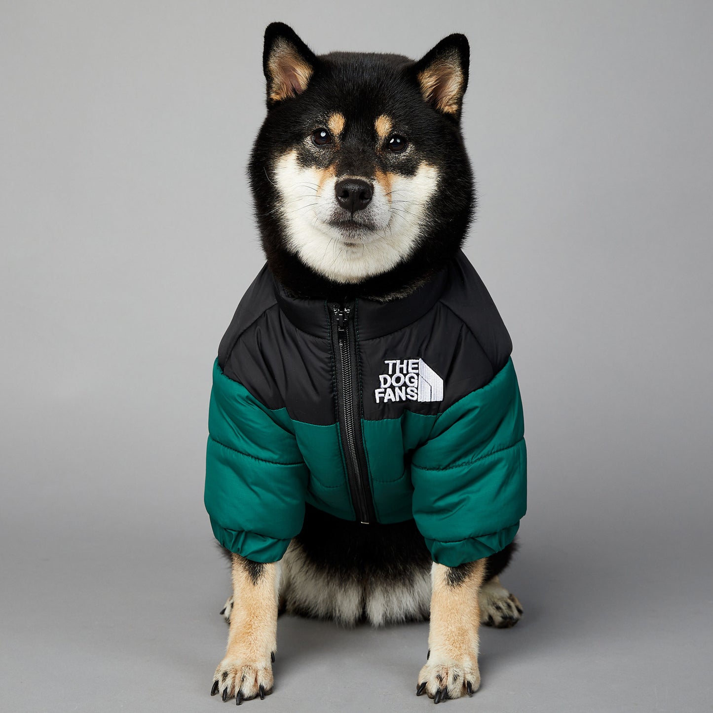 Windproof And Rainproof Dog Winter Warm Pet Cotton-padded Clothes - My Store