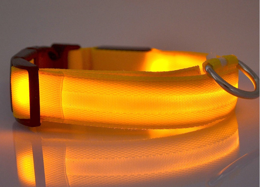 Nylon LED Pet Dog Luminous Collar Night Safety Flashing Glow in Dark Dog Cat Leash Adjustable Pet Supplies - My Store