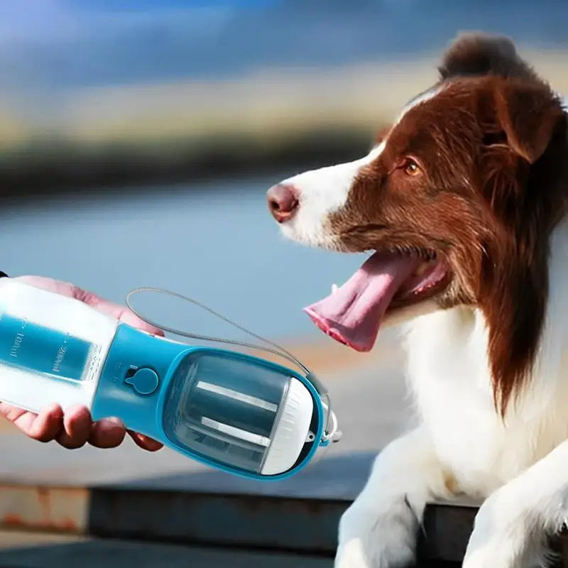 Dog Water Cup Drinking Food Garbage Bag Three-in-one Portable Small Multi-functional Pet Cups Pets Supplies - My Store