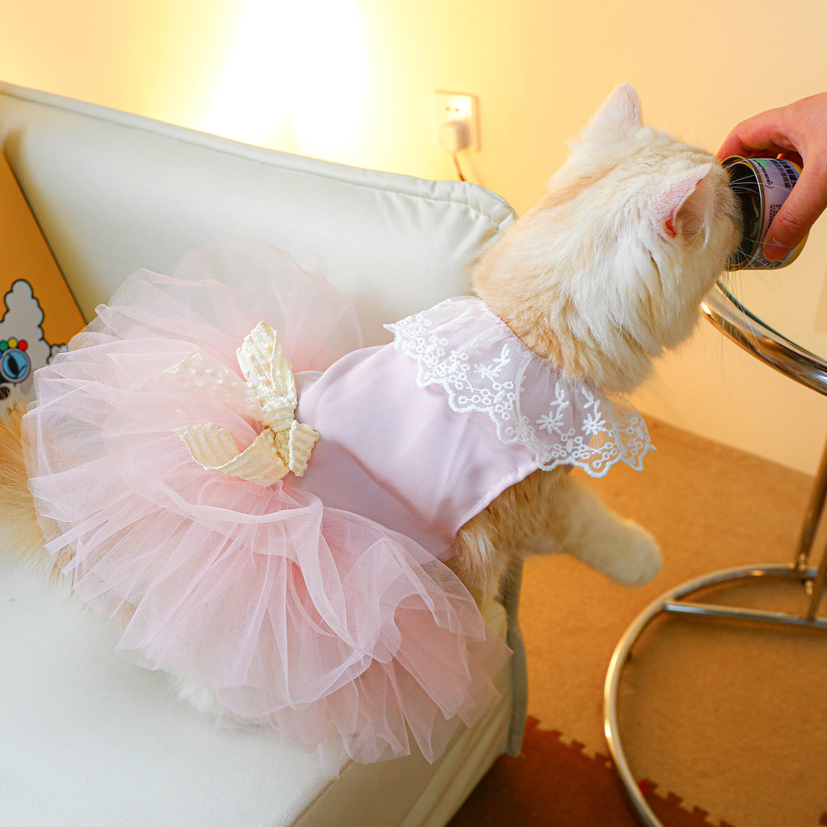Pet Clothing Cat Clothes Lace Cat - My Store