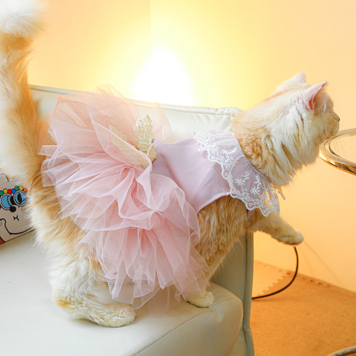 Pet Clothing Cat Clothes Lace Cat - My Store