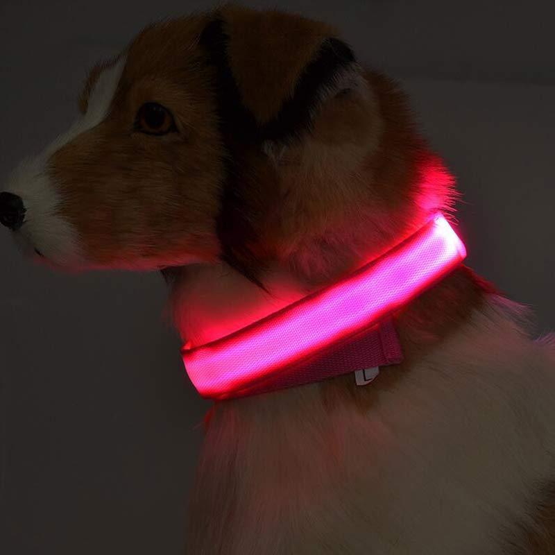 Nylon LED Pet Dog Luminous Collar Night Safety Flashing Glow in Dark Dog Cat Leash Adjustable Pet Supplies - My Store