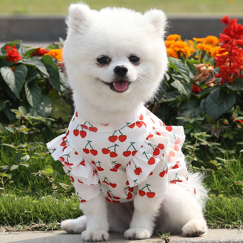 Pet Dog Print Bottoming Shirt Coat - My Store