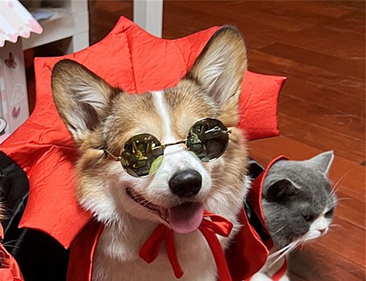 Halloween Pet Costumepet Halloween Cape Vampire King - My Store
