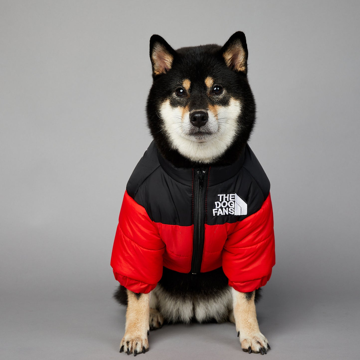 Windproof And Rainproof Dog Winter Warm Pet Cotton-padded Clothes - My Store