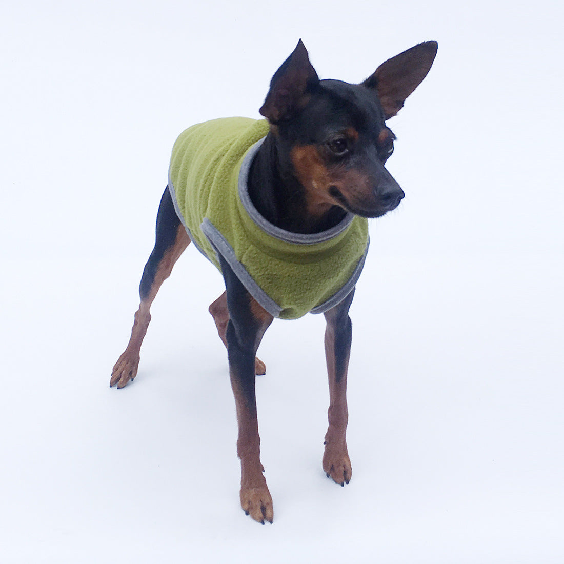 Pet Clothes Dog Clothing Polar Fleece - My Store