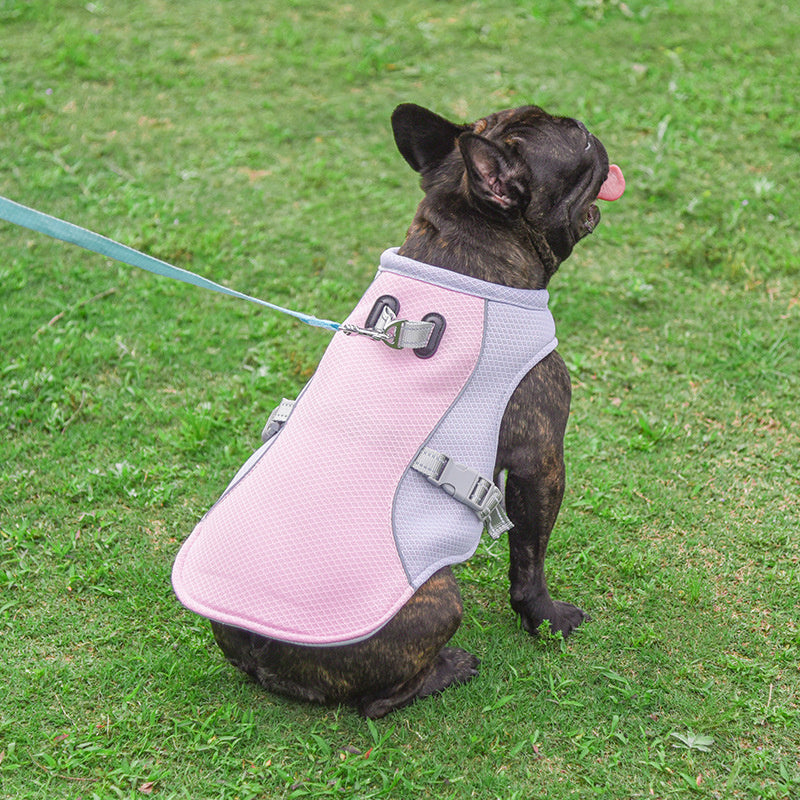 Summer Pet Outdoor Breathable Cooling Vest - My Store