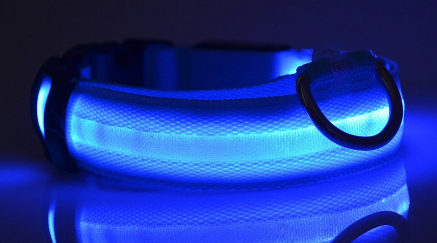 Nylon LED Pet Dog Luminous Collar Night Safety Flashing Glow in Dark Dog Cat Leash Adjustable Pet Supplies - My Store