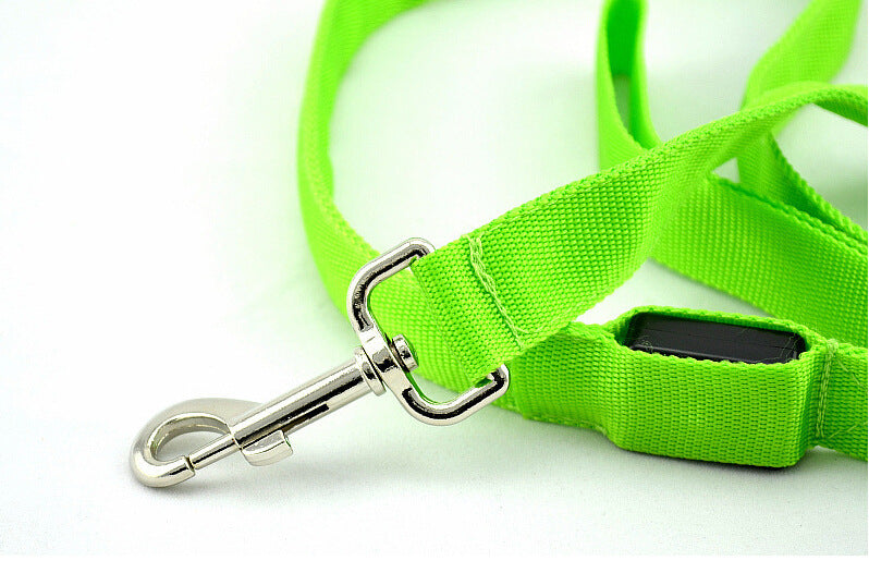 Glowing Pet Leash Glowing Dog LED - My Store