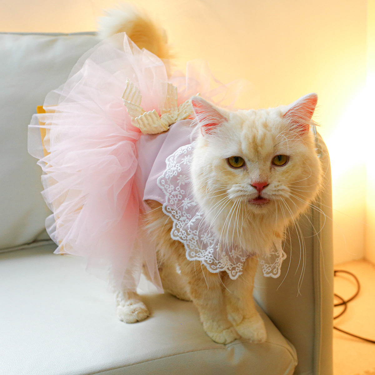 Pet Clothing Cat Clothes Lace Cat - My Store