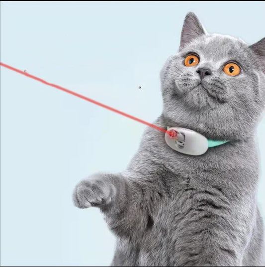 Automatic Cat Teaser Kitty Laser Pen Light Laser Light Infrared Funny Pet Toy - My Store