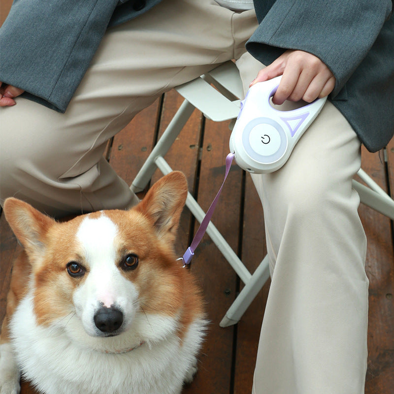 Dog Leash Retractable Leash And Dog Collar Spotlight Automatic Pet Dog Cat Traction Rope For Small Medium Dogs Pet Product - My Store
