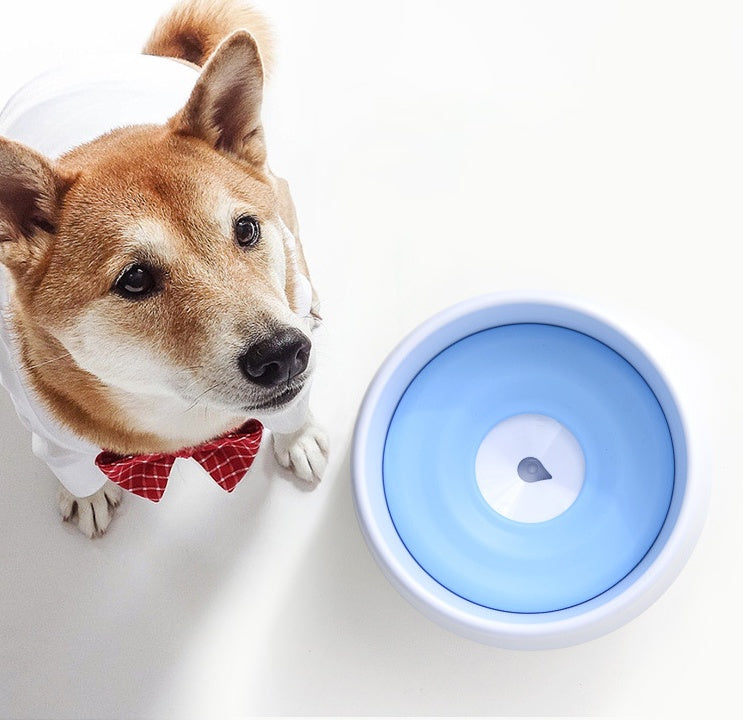Dog automatic drinking bowl - My Store