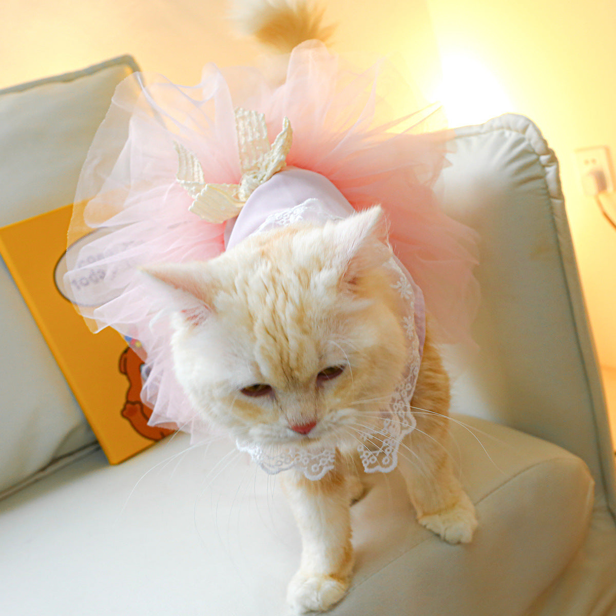Pet Clothing Cat Clothes Lace Cat - My Store
