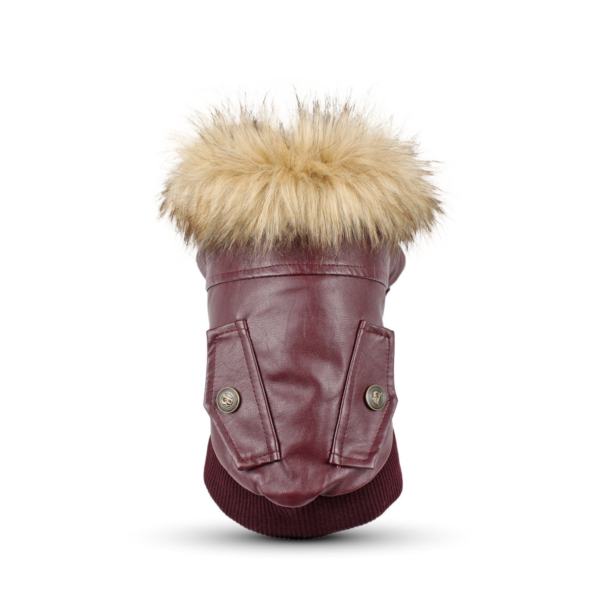 Autumn And Winter Clothes Dog Fur Collar Leather Coat - My Store
