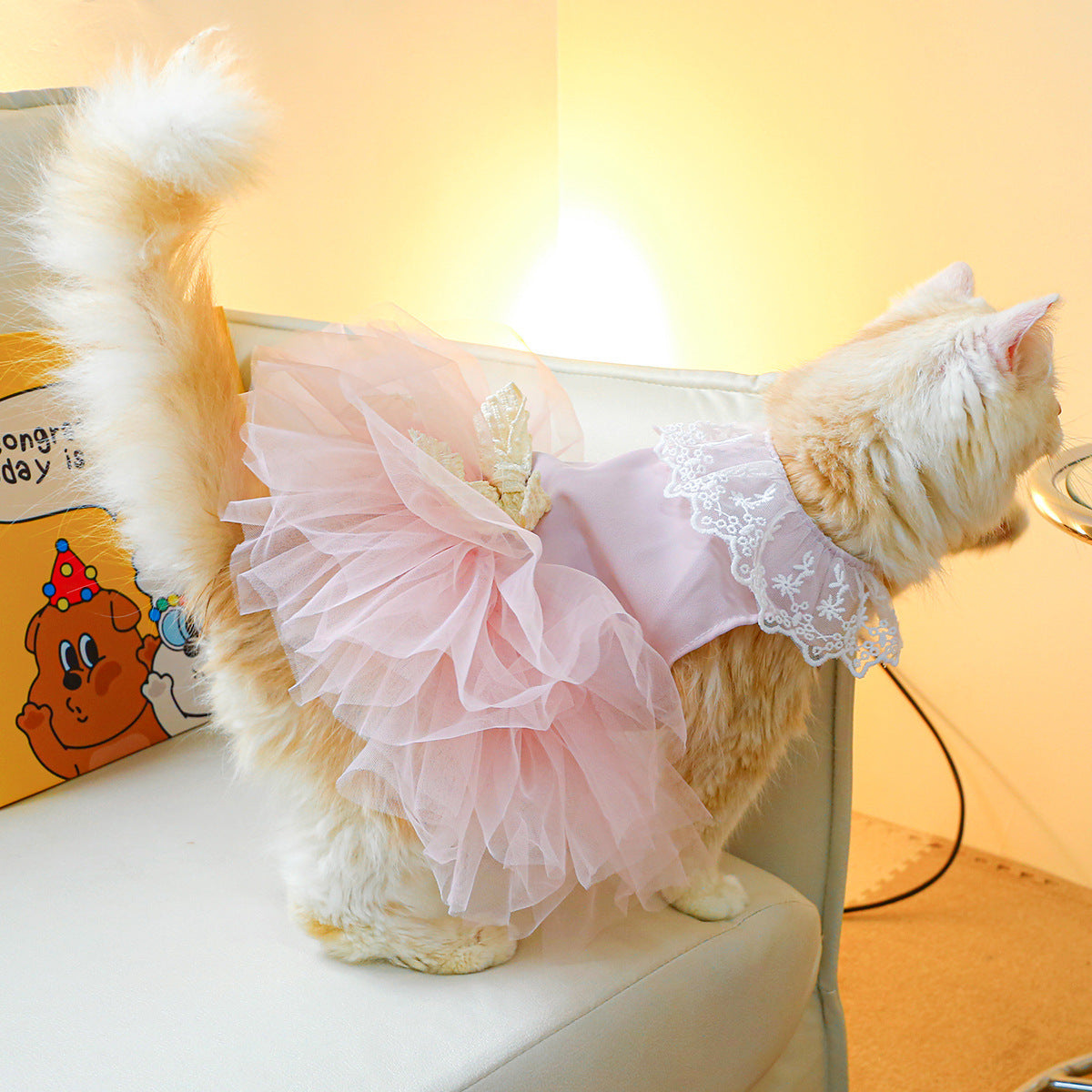 Pet Clothing Cat Clothes Lace Cat - My Store