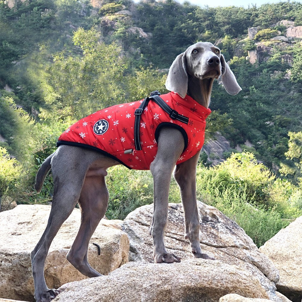 Christmas Dog Waterproof Reflective Belt Chest And Back Autumn And Winter Warm Pet Clothes - My Store