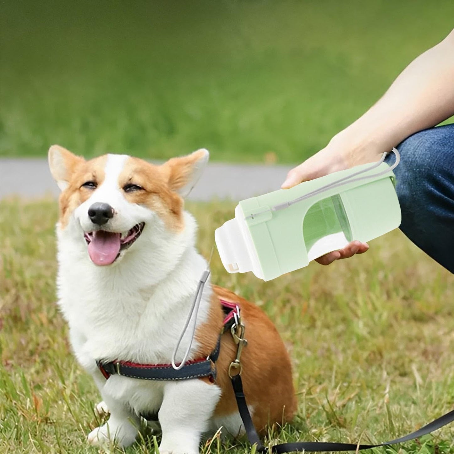 2 In 1 Travel Dog Water Bottle Pet Water Dispenser Feeder Drinking Feeder Dog Outing Water Feeder Pets Outdoor Portable Cup Pet Products - My Store