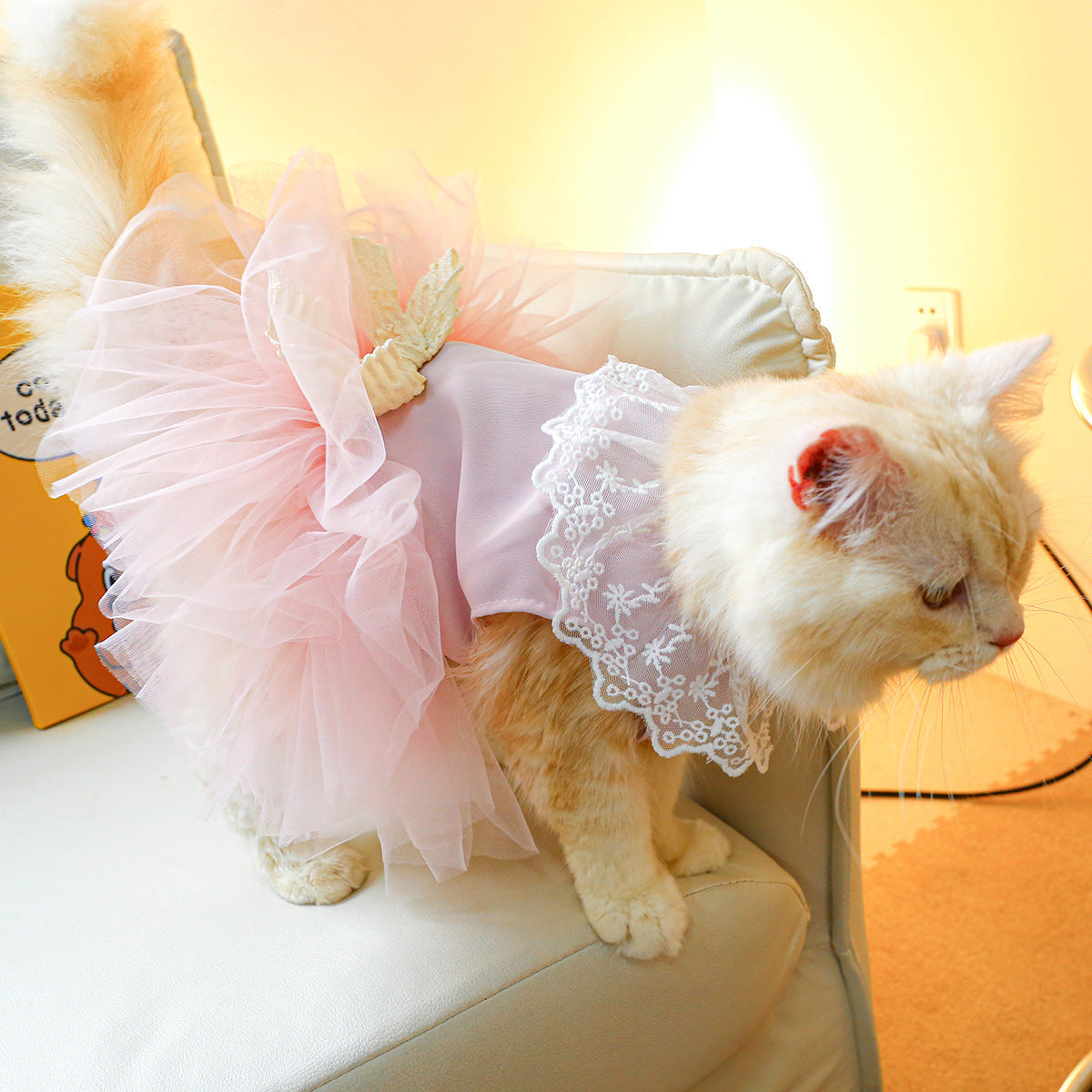 Pet Clothing Cat Clothes Lace Cat - My Store