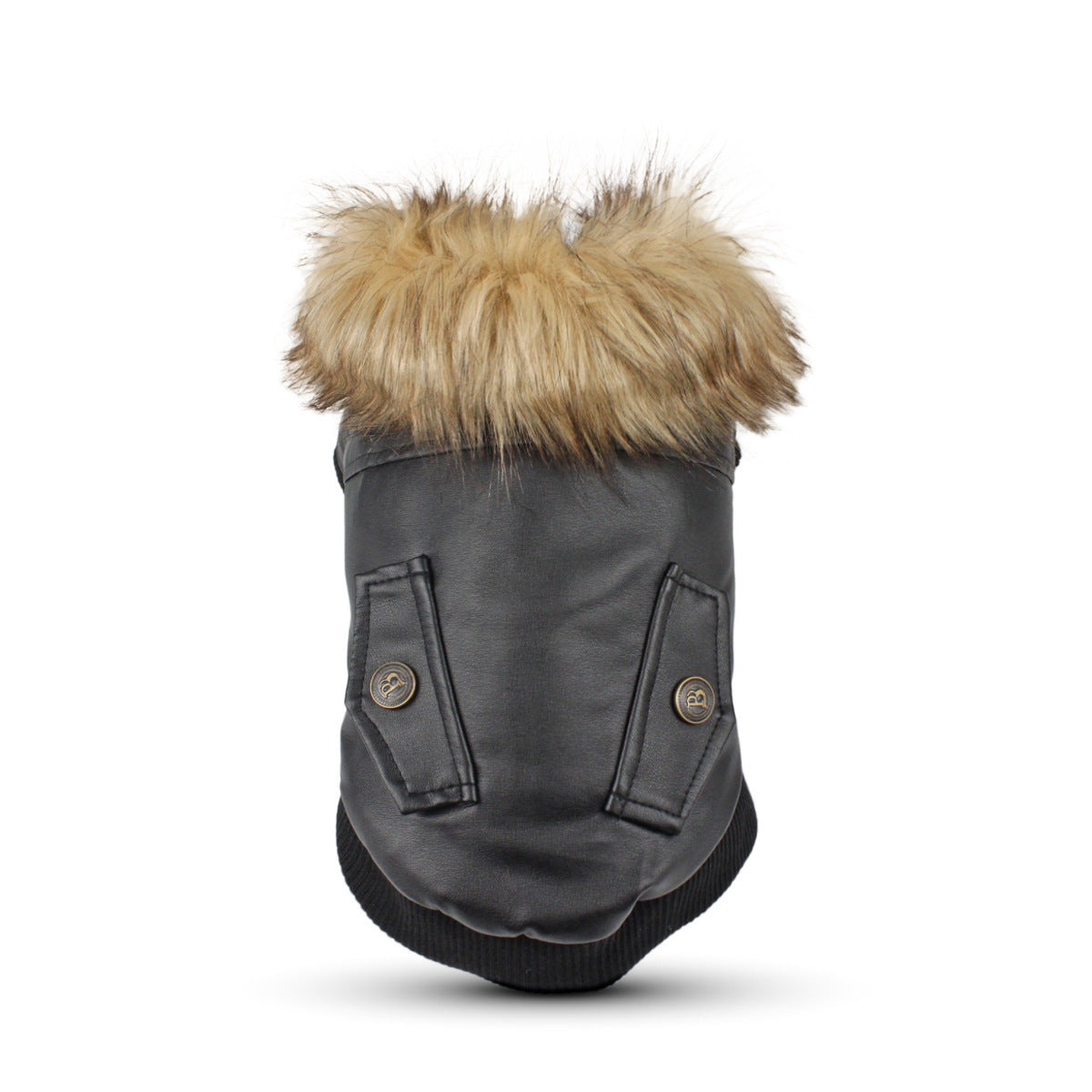 Autumn And Winter Clothes Dog Fur Collar Leather Coat - My Store