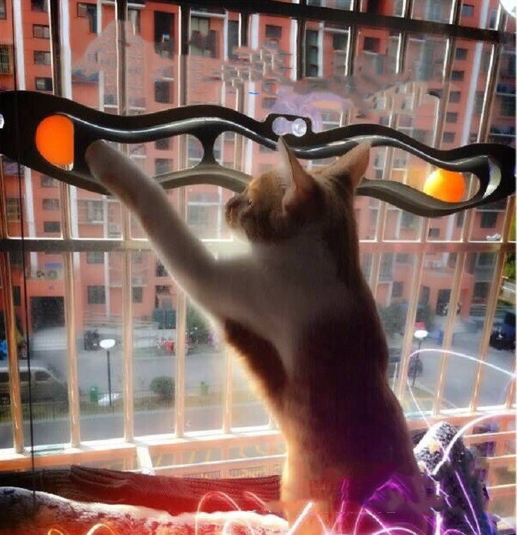 Windowsill Pets Toy Cat Track Ball Pet Products - My Store