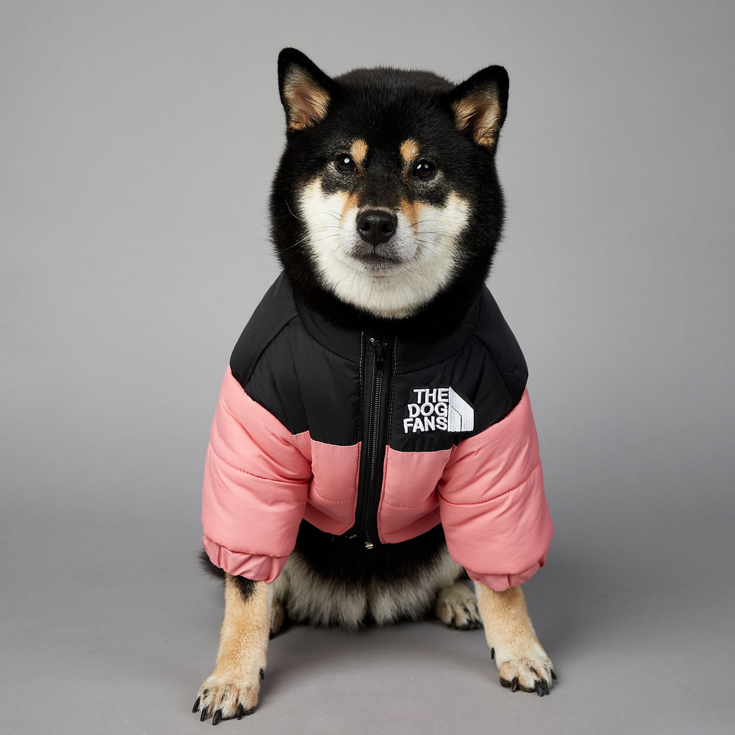 Windproof And Rainproof Dog Winter Warm Pet Cotton-padded Clothes - My Store