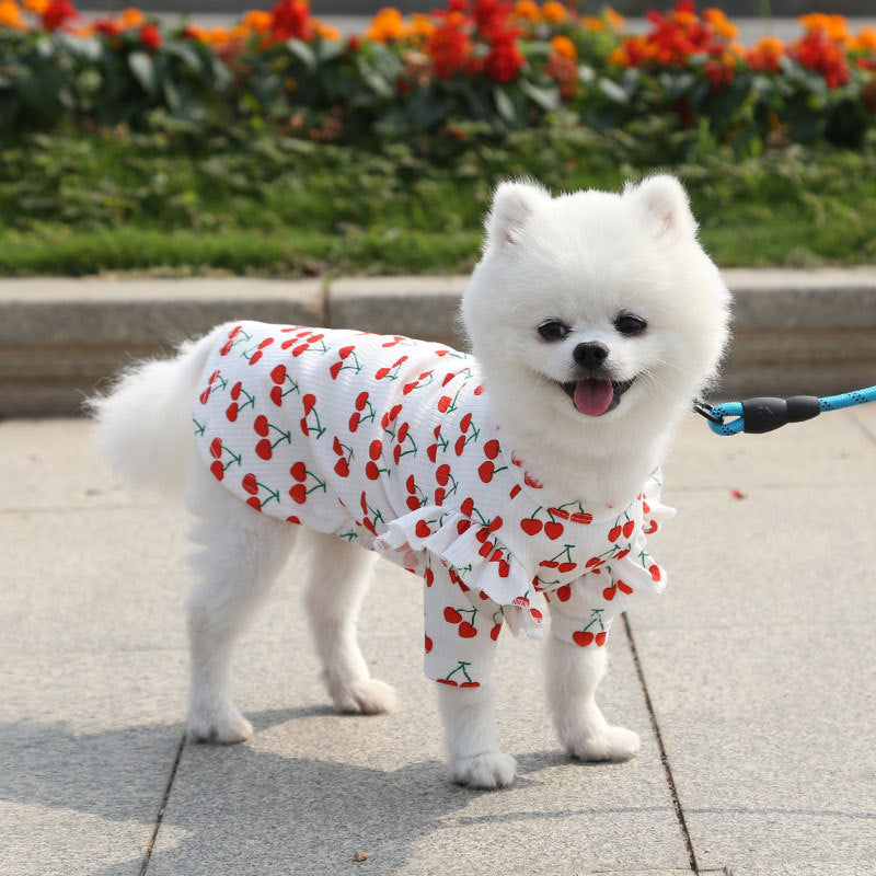 Pet Dog Print Bottoming Shirt Coat - My Store