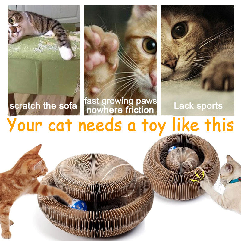 Pet Magnetic Folding Organ Toy Cat Scratch Board - My Store