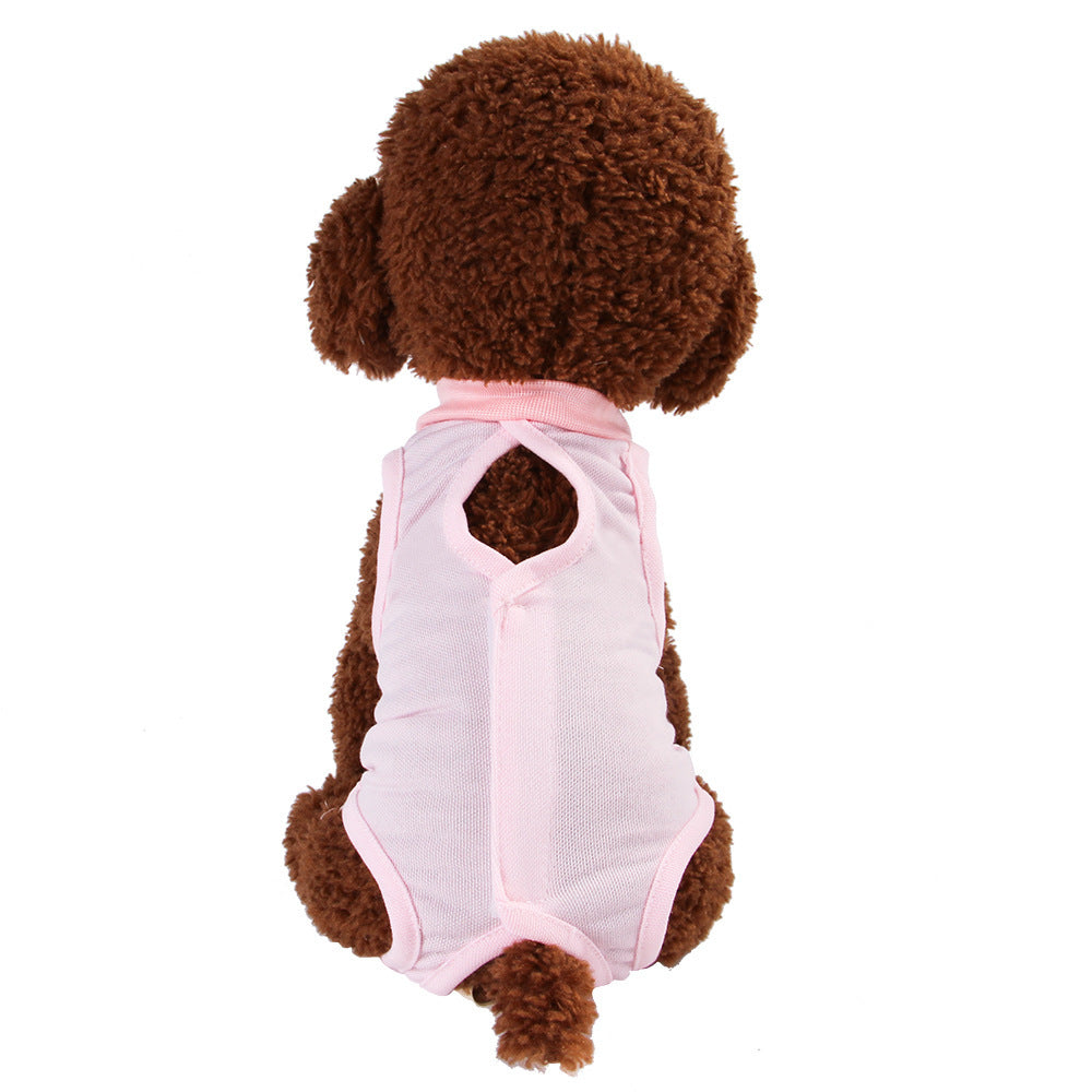 Pet clothes, cat weaning clothes, bite-proof surgical clothes, cat sterilization clothes - My Store