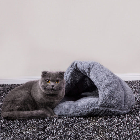 Cat Litter For All Seasons To Keep Warm - My Store