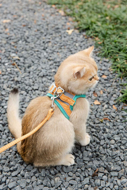 Cat Traction Rope Vest-Style Reflective Chest Harness Anti-Stroke Resistance Cute Go Out Dog Traction Rope Special Rope For Walking Cats - My Store