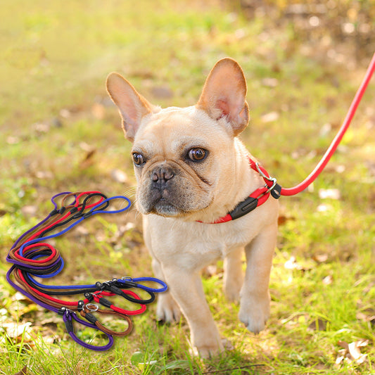 Dog leash dog leash pet leash - My Store