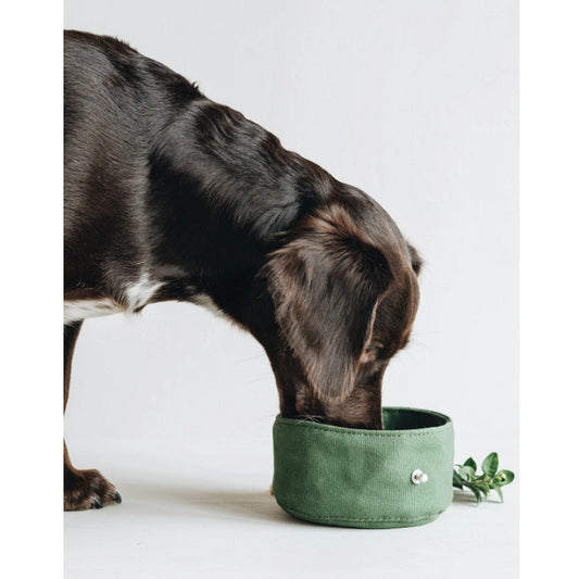 Folding Dog Bowl Canvas Dog Tableware Drinking Water Bowl Feeding Bowl Walking Dog Portable Pet Ration Bag - My Store