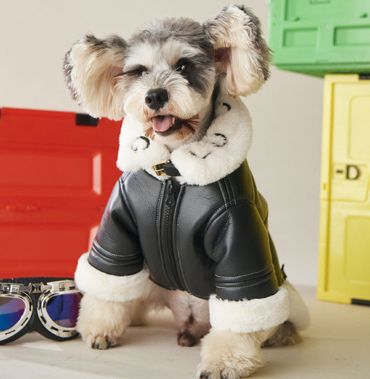 Dog Clothes Autumn And Winter Thickening Fashion Brand Fur Coat - My Store