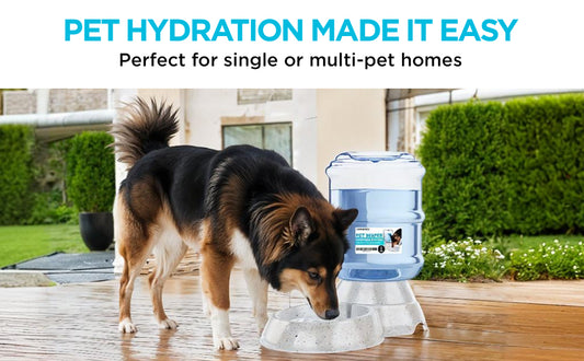 Pet Automatic Water Dispenser