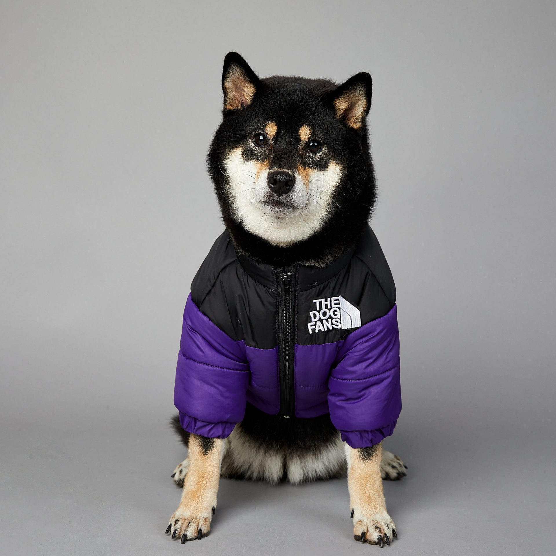 Windproof And Rainproof Dog Winter Warm Pet Cotton-padded Clothes - My Store