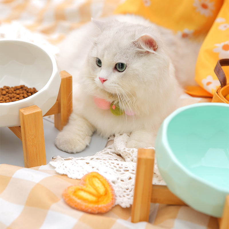 Yuanmiao Cat Bowl Ceramic Cat Food Bowl Protect Cervical Spine Cat Double Bowl Dog Water Bowl Food Bowl Dog Bowl Pet Bowl - My Store