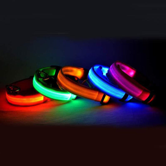 Nylon LED Pet Dog Luminous Collar Night Safety Flashing Glow in Dark Dog Cat Leash Adjustable Pet Supplies - My Store