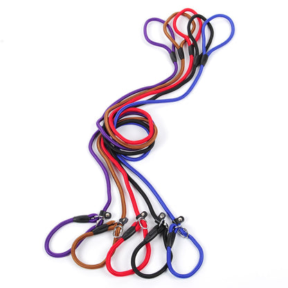 Dog leash dog leash pet leash - My Store